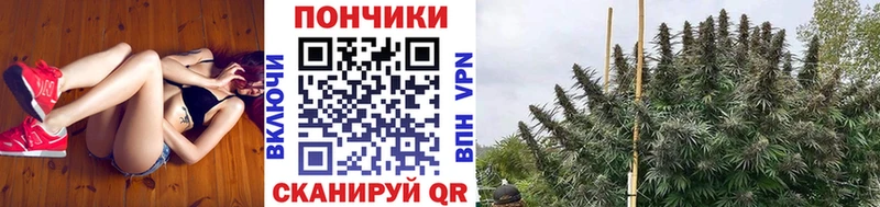 Купить наркотики цена Макушино НБОМе Галлюциногенные грибы СОЛЬ Меф мяу мяу Cocaine ГАШ