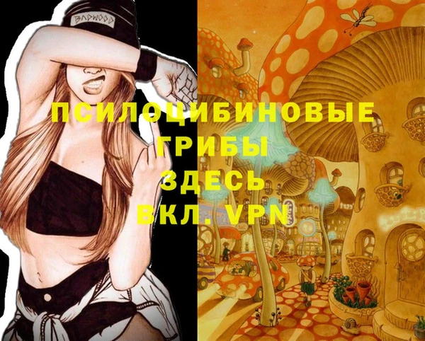 PSILOCYBIN Алзамай