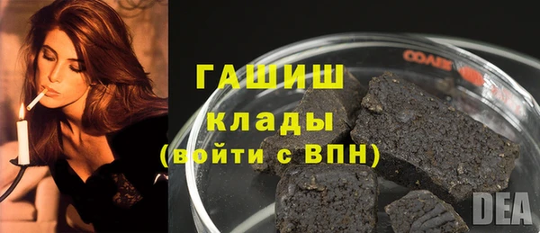 PSILOCYBIN Алзамай
