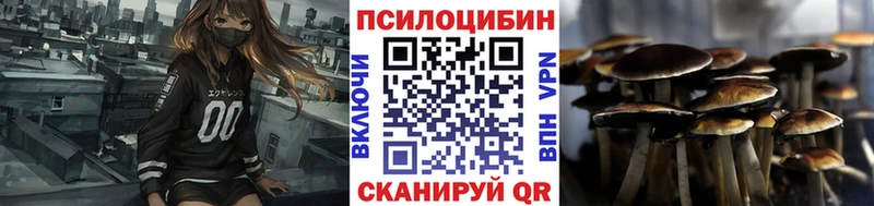 Псилоцибиновые грибы Cubensis  Макушино 