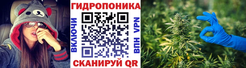 магазин  наркотиков  Макушино  Конопля гибрид 